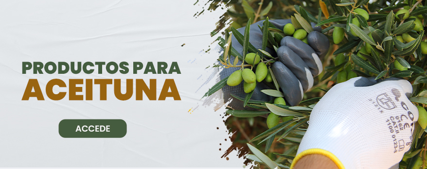 Herramientas y Equipos para la Recogida de Aceituna